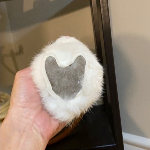 Rabbit fur Jackalope. - Picture 4 of 5